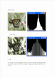 Histogram equalize   (15 )